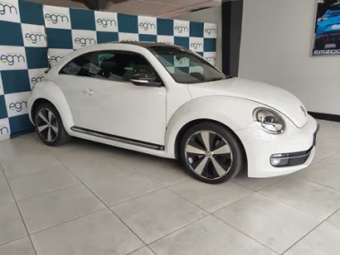 17749VWBeetle001-1-th.jpg