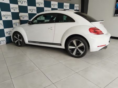 17749VWBeetle004-th.jpg
